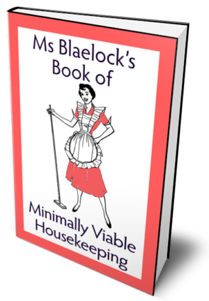 Minimally Viable Housekeeping hardback